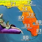 Florida Sees Unusually Warm First Day of Winter With Temperatures in the 70s and 80s Across the State