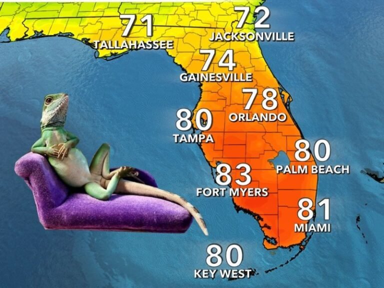 Florida Sees Unusually Warm First Day of Winter With Temperatures in the 70s and 80s Across the State